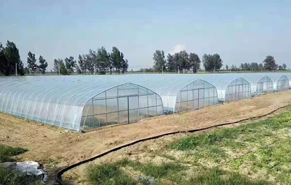 bifa·必发(中国区)唯一官方网站