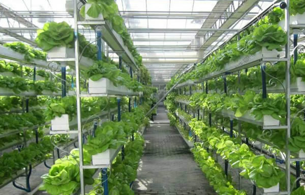 bifa·必发(中国区)唯一官方网站