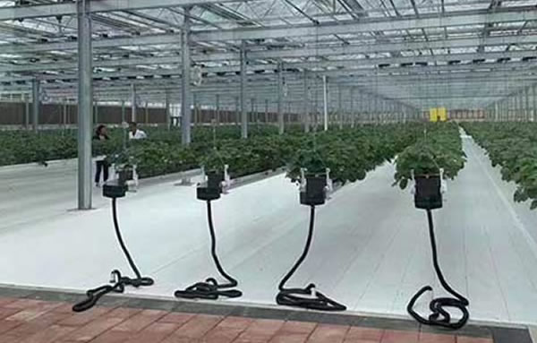 bifa·必发(中国区)唯一官方网站