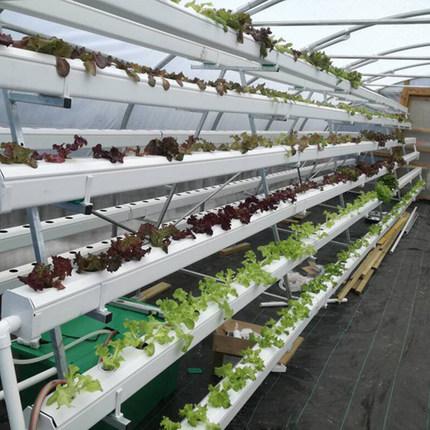 bifa·必发(中国区)唯一官方网站